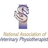 Therapist Qualifications