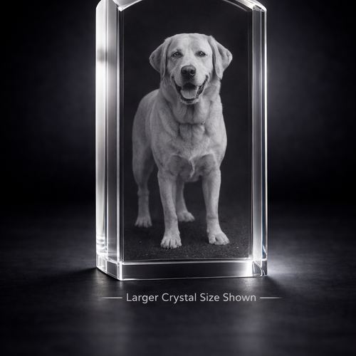 ***2 Sizes Available***The Stunning New Dunvegan Solid 3d Crystal Prism Dome