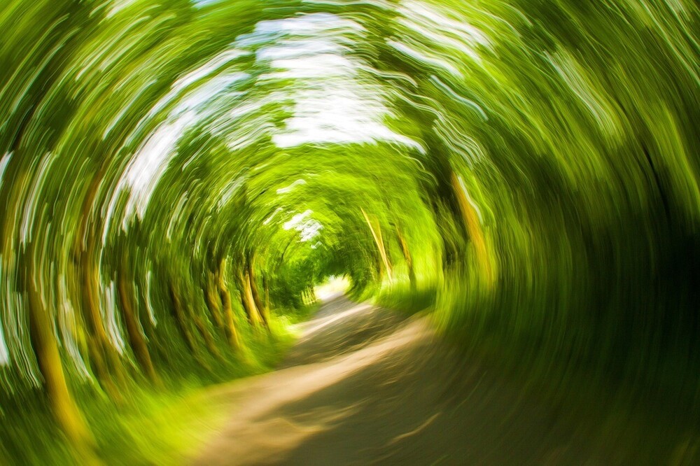 Has Vertigo Got You in a Spin? | Medicinal Eating Nutritional Therapy | Nutritional Therapist Sussex and Online | Nutrigenomics and Gut Health Practitioner | Nutrigenomics Practitioner Sussex and Online | Nutritional Therapist Sussex | Food Allergy Intolerance Sussex | Nutrition Sussex