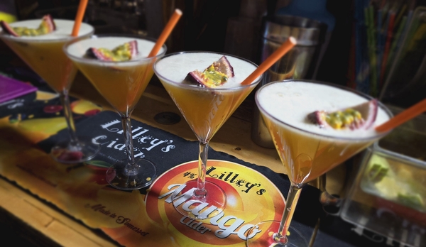 ✨️Pornstars ✨️