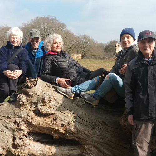 North Sheen to Richmond via Richmond Park, Sunday 22nd March