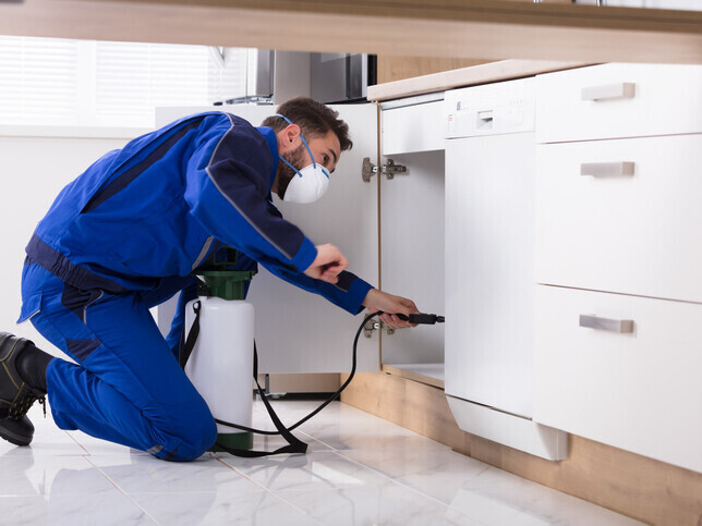 About | Northdowns Pest Control Ltd | Pest control Guildford | Rodent control Guildford, Woking | Wasp nest removal Surrey