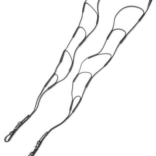 Ladder Reins