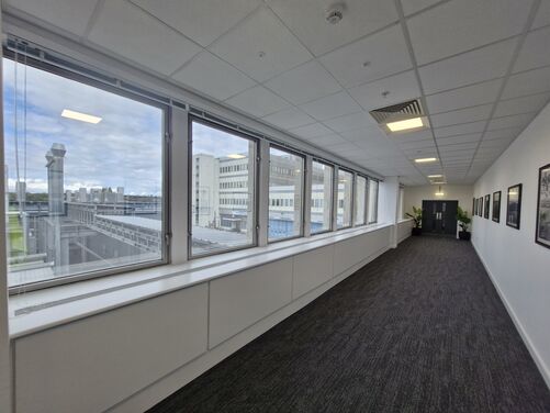Window Film Image Gallery