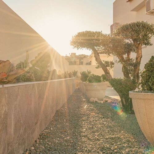 Calle San Miguel, Rojalas