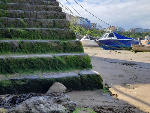 1 PLACE LEFT -Tenby, St Davids and the Pembrokeshire Coastal Path, Wales 2026 - 1 PLACE LEFT