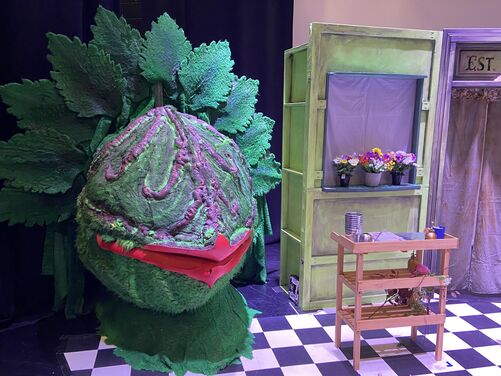 Stills Gallery | Not Just Props Hertfordshire