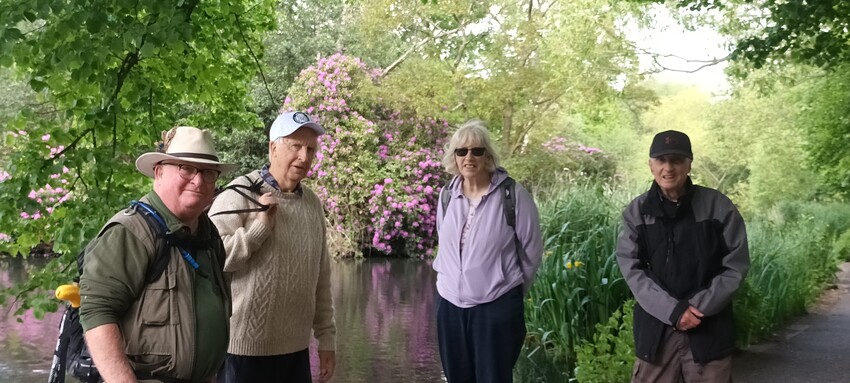 Capital Ring Section Five, Wednesday 20th May | Croydon HF Rambling Club | Walking Clubs in Croydon  | Rambling Croydon | HF Rambling, Croydon
