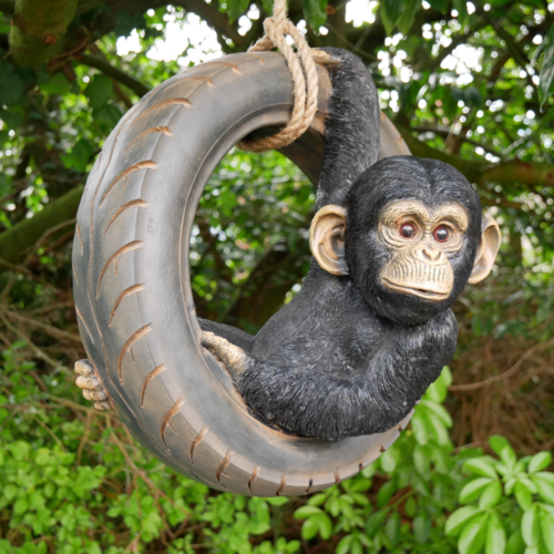 Chimpanzee on a tyre swing