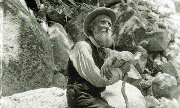 John Muir nature's prophet