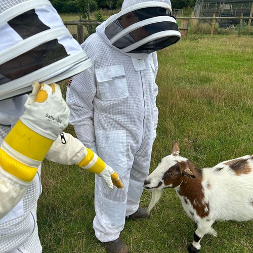 Gallery | East Anglia Apiaries | Raw honey | Local honey | Natural Honey