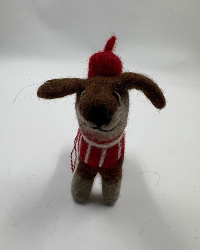 Brown dog with a red hat