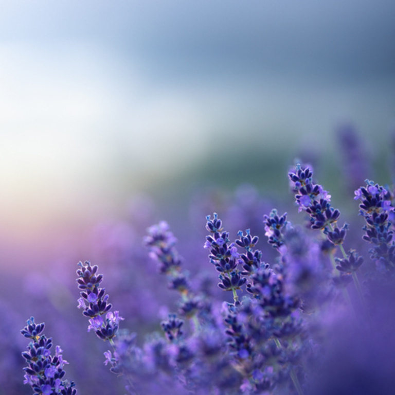 Identity and self esteem counselling therapy in Merthyr Tydfil