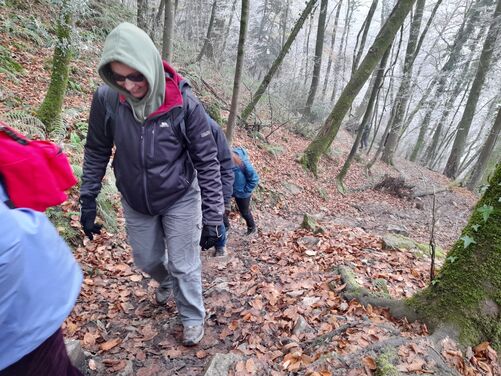 Tintern Abbey - Advent in the Valley