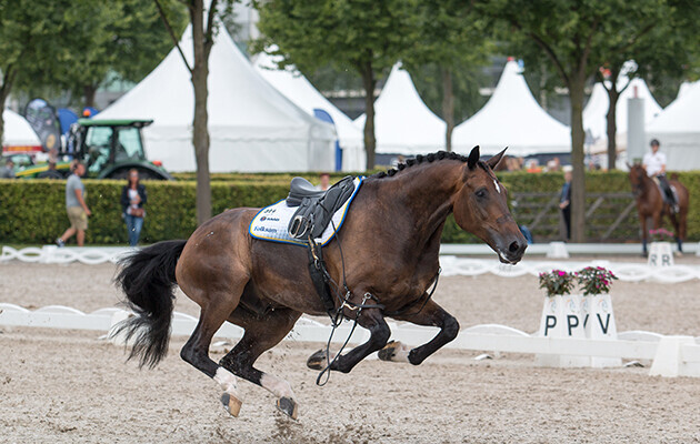 Prehab not rehab for your people – Avoid the Burnout!