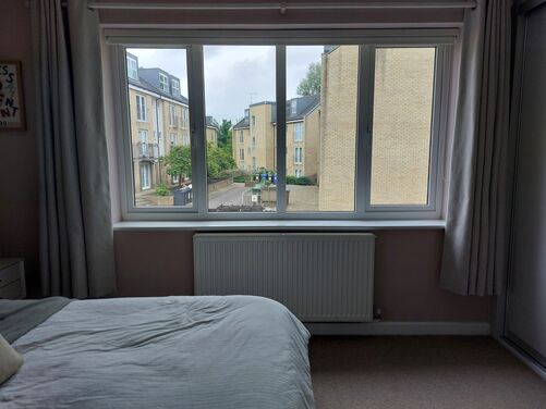 Window Film Image Gallery