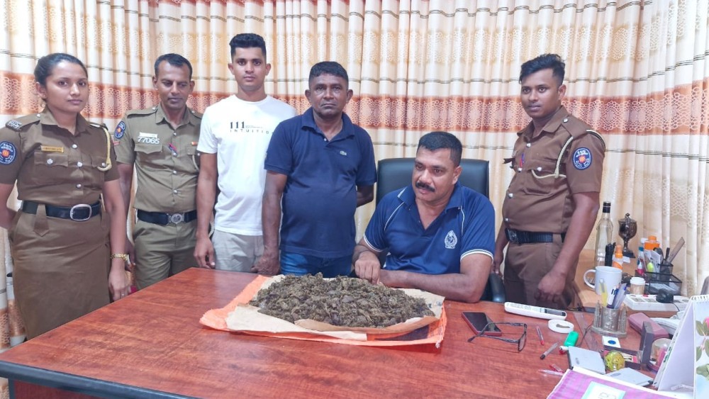 மந்திகையில் கஞ்சாவுடன் ஒருவர் கைது