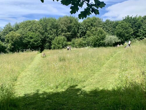 A Weekend of Pilgrimage Part 1 - The Eden Way, Devon