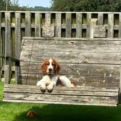  Next class will be in 2026