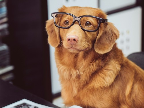 Do you ever feel like a fraud?