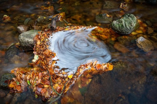 Has Vertigo Got You in a Spin? | Medicinal Eating Nutritional Therapy | Nutritional Therapist Sussex and Online | Nutrigenomics and Gut Health Practitioner | Nutrigenomics Practitioner Sussex and Online | Nutritional Therapist Sussex | Food Allergy Intolerance Sussex | Nutrition Sussex
