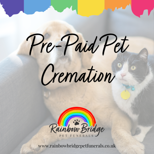 Introducing Pre-Paid Pet Cremations: Plan Ahead with Peace of Mind