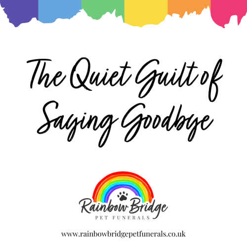 The Quiet Guilt of Saying Goodbye: Coping After Euthanising Your Pet