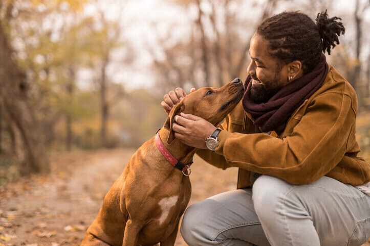 Pre-Paid Pet Cremation Booking | Rainbow Bridge Pet Funeral Services