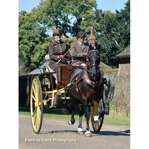 Fairbourne Dog Cart