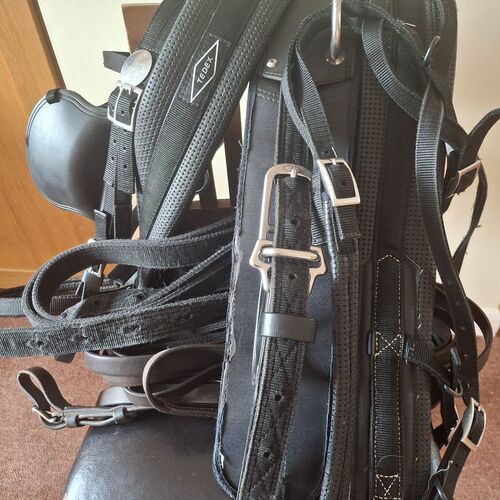 Cob Harness Set *Secondhand*