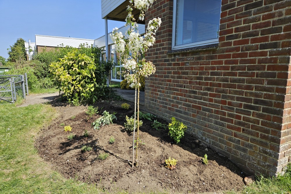 50th Anniversary Garden