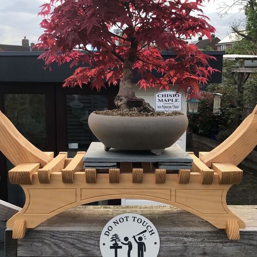 Do Not Touch The Bonsai Trees