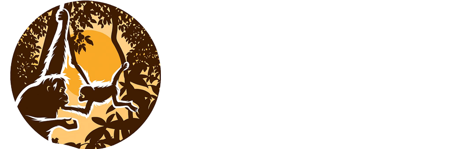 Minah Jungle Trek | Orangutan Treks | Jungle Treks | Jungle Treks Sumatra