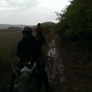 Transylvania and fresh blood