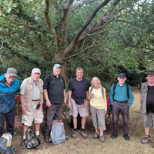 Event Reports | Croydon HF Rambling Club | Walking Clubs in Croydon  | Rambling Croydon | HF Rambling, Croydon
