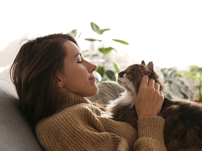 Book Now | Rainbow Bridge Pet Funeral Services