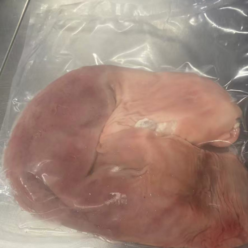 Pig Maw 猪肚 400g