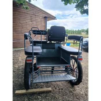Seasons Raven Carriage (1294257)