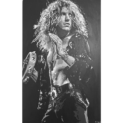 Original Robert Plant Painting by Sue Verity