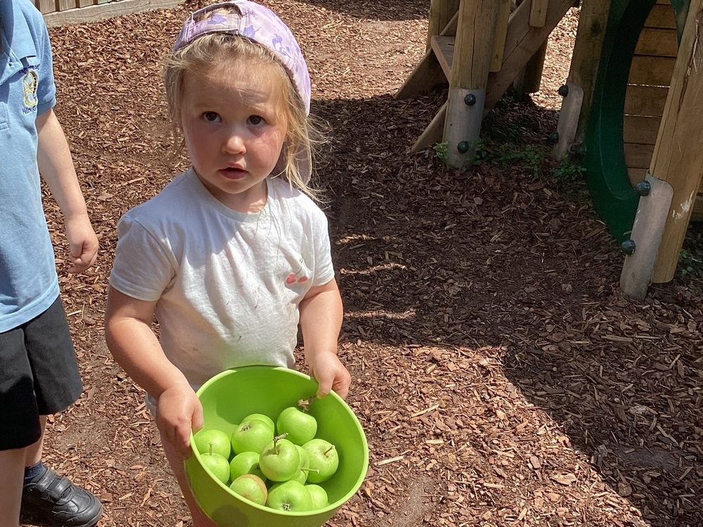 Bwyd a Maeth  | Meithrinfa Miri Mawr