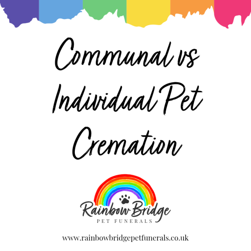 The Difference Between Communal and Individual Pet Cremations