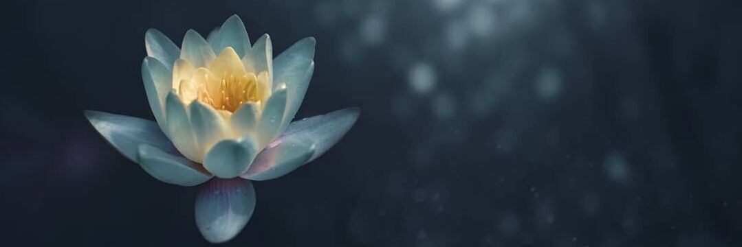 How Did I End Up Here