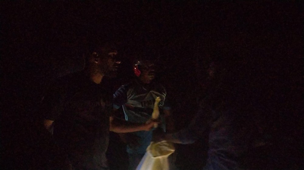 ஆபத்தை ஏற்படுத்திய குளவி கூடு அகற்றப்பட்டது