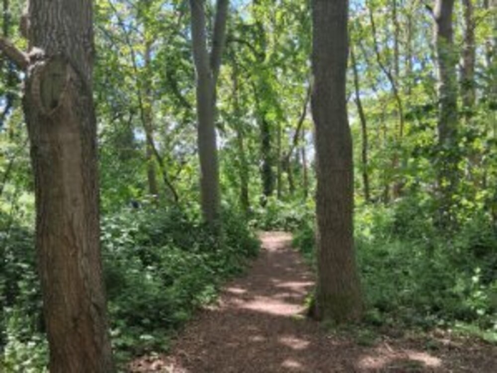 Portal Woodlands Sale | Martlesham Parish Council | Martlesham parish council planning | Martlesham parish council meeting | Martlesham parish council finance