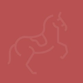Equine Fitters Directory