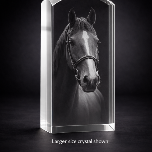 ***2 Sizes Available***The Stunning New Dunvegan Solid 3d Crystal Prism Dome