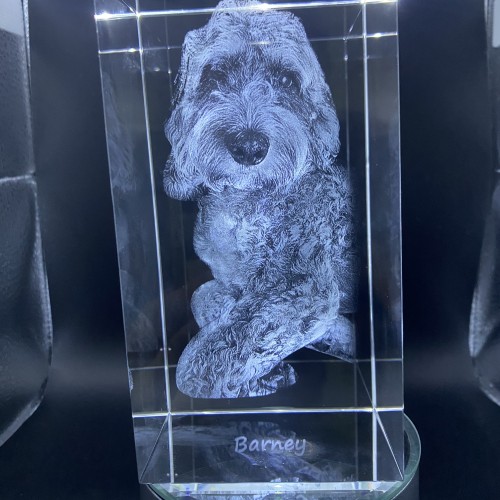 Some of This months work (June 2025)