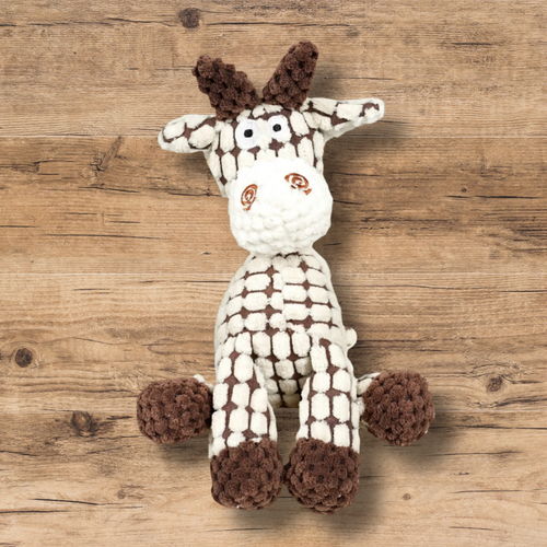 Plush Rope Squeaky Giraffe
