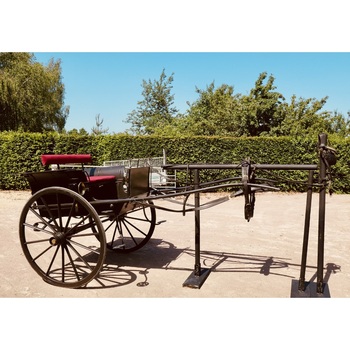 Carriage Link