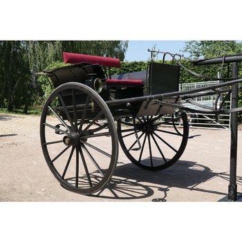 Edwardian Gentleman’s Dog Cart by Cox of Sunning (1287786)